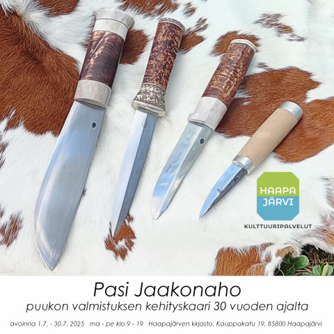Pasi Jaakonahon näyttely