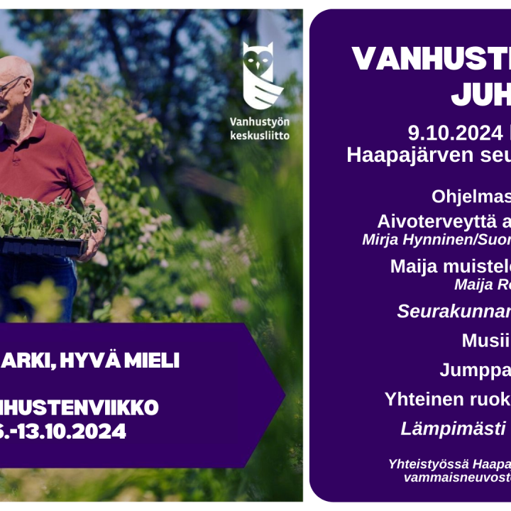 Lisää voimaa vanhuuteen -webinaari